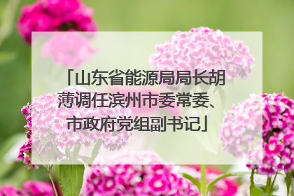 山东省能源局局长胡薄调任滨州市委常委、市政府党组副书记
